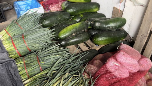 蔬菜价格高位运行，专家预测九月上旬将回落