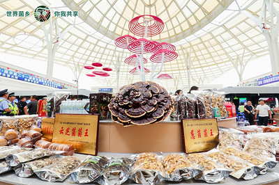 云南南华 菌旅与鲜果，邀您解锁别样清凉暑期