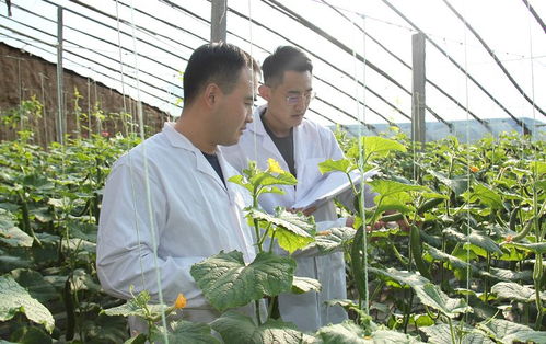 安丘百名检测员一线把关，筑牢“舌尖安全”防护网