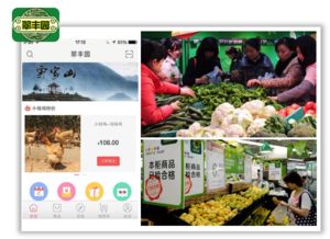3大战略12个方法玩转农产品新零售 新鲜水果零售实战指南