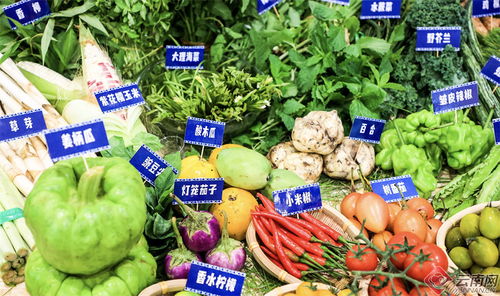 2024大理味道美食季 云品进京，食用农产品零售放异彩——开篇 舌尖上的云南风来袭